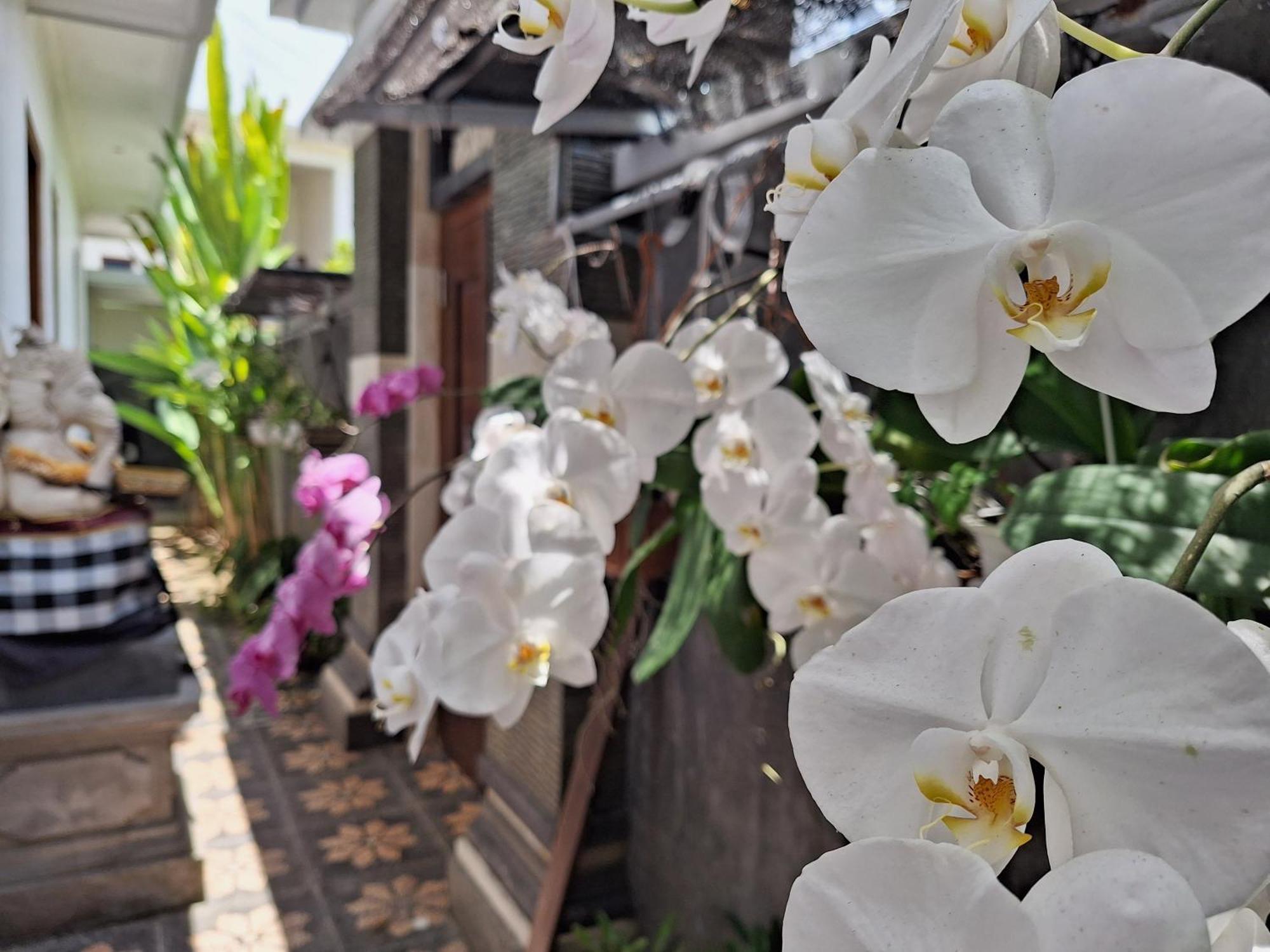 Mandox Villa Bali Ungasan Exterior foto